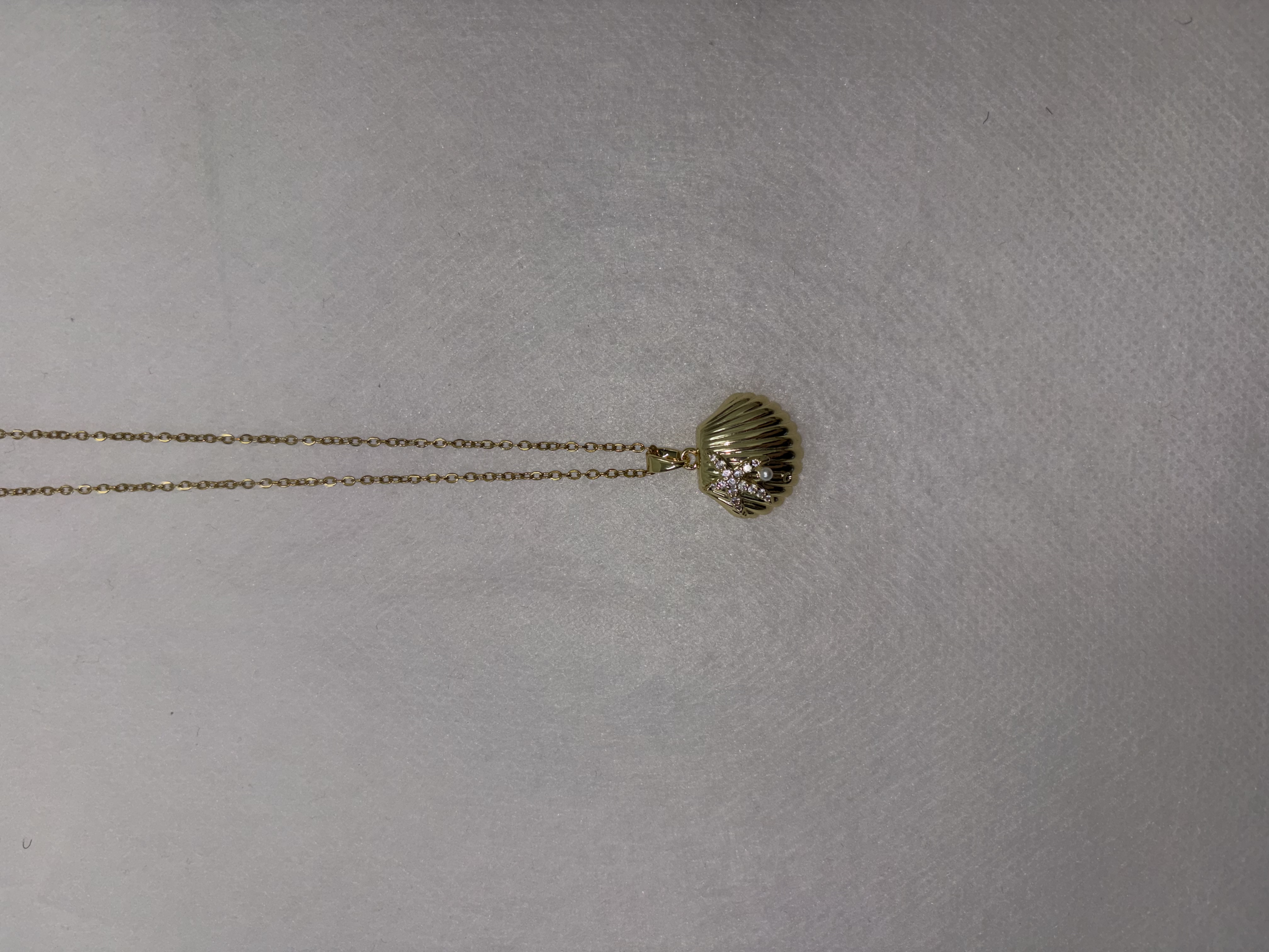 钛钢项链轻奢时尚锁骨链小众贝壳吊坠新款生日礼物配饰详情图2