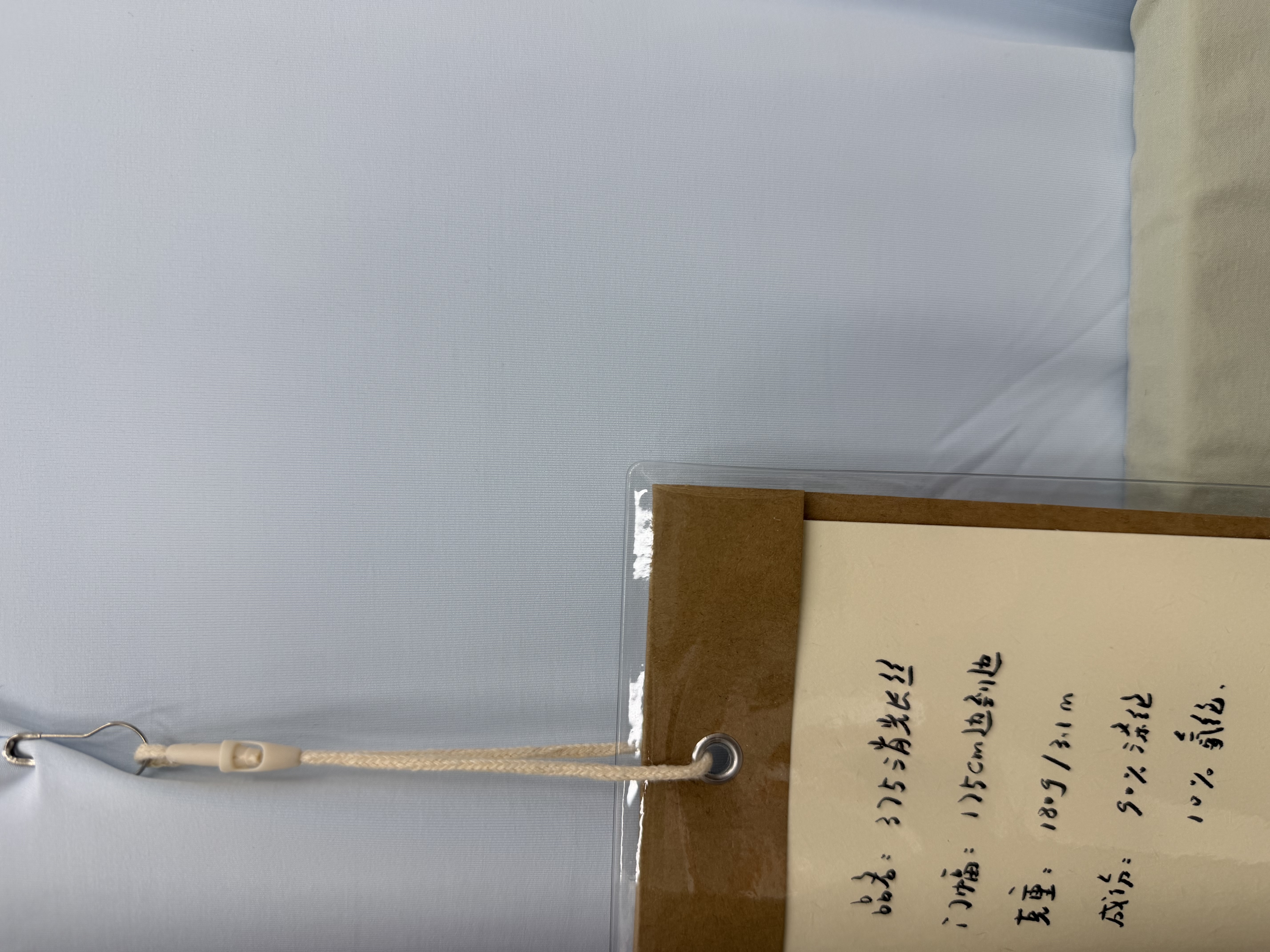 375消光长丝蓝色
