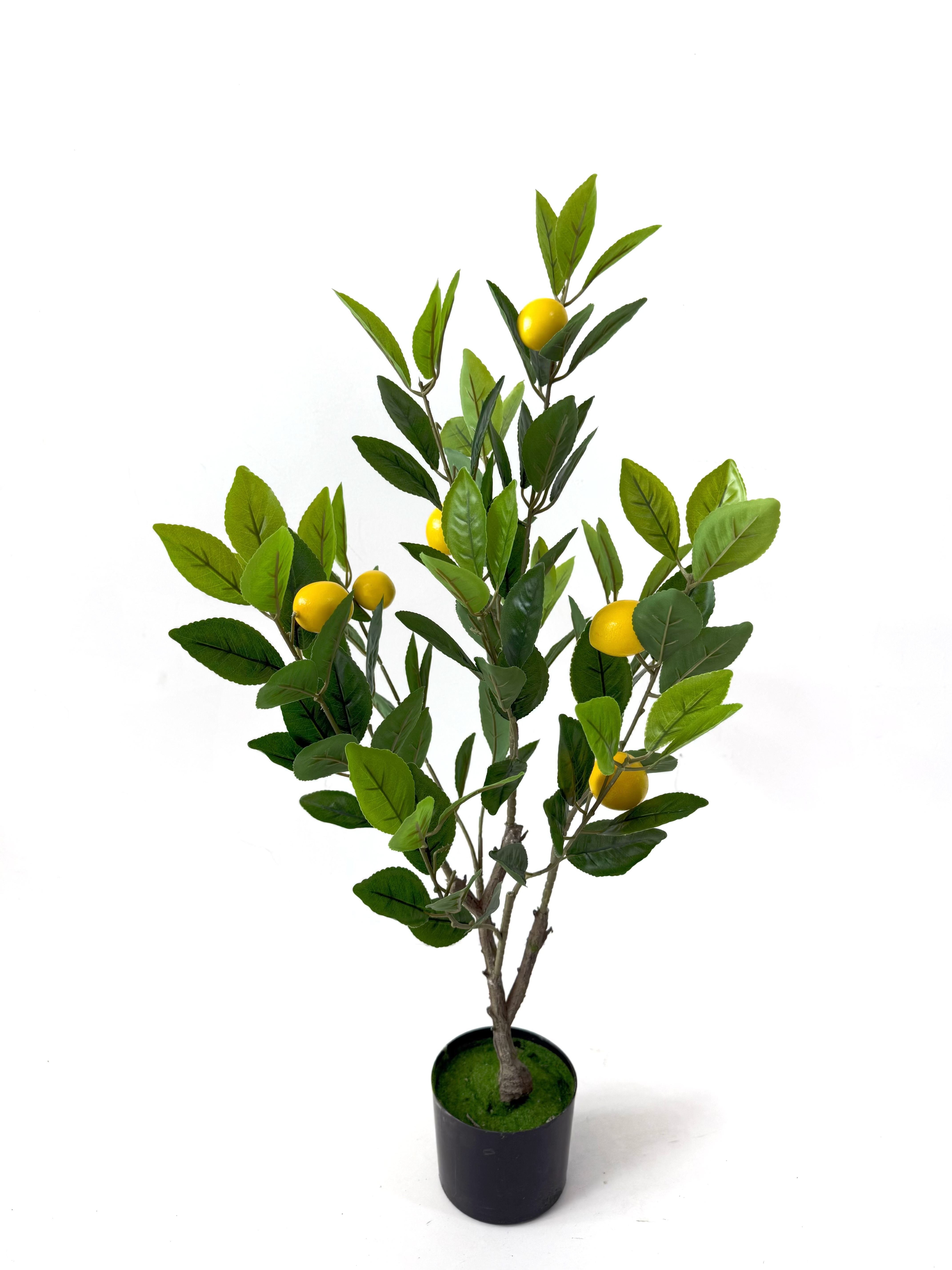 仿真柠檬树假树水果树