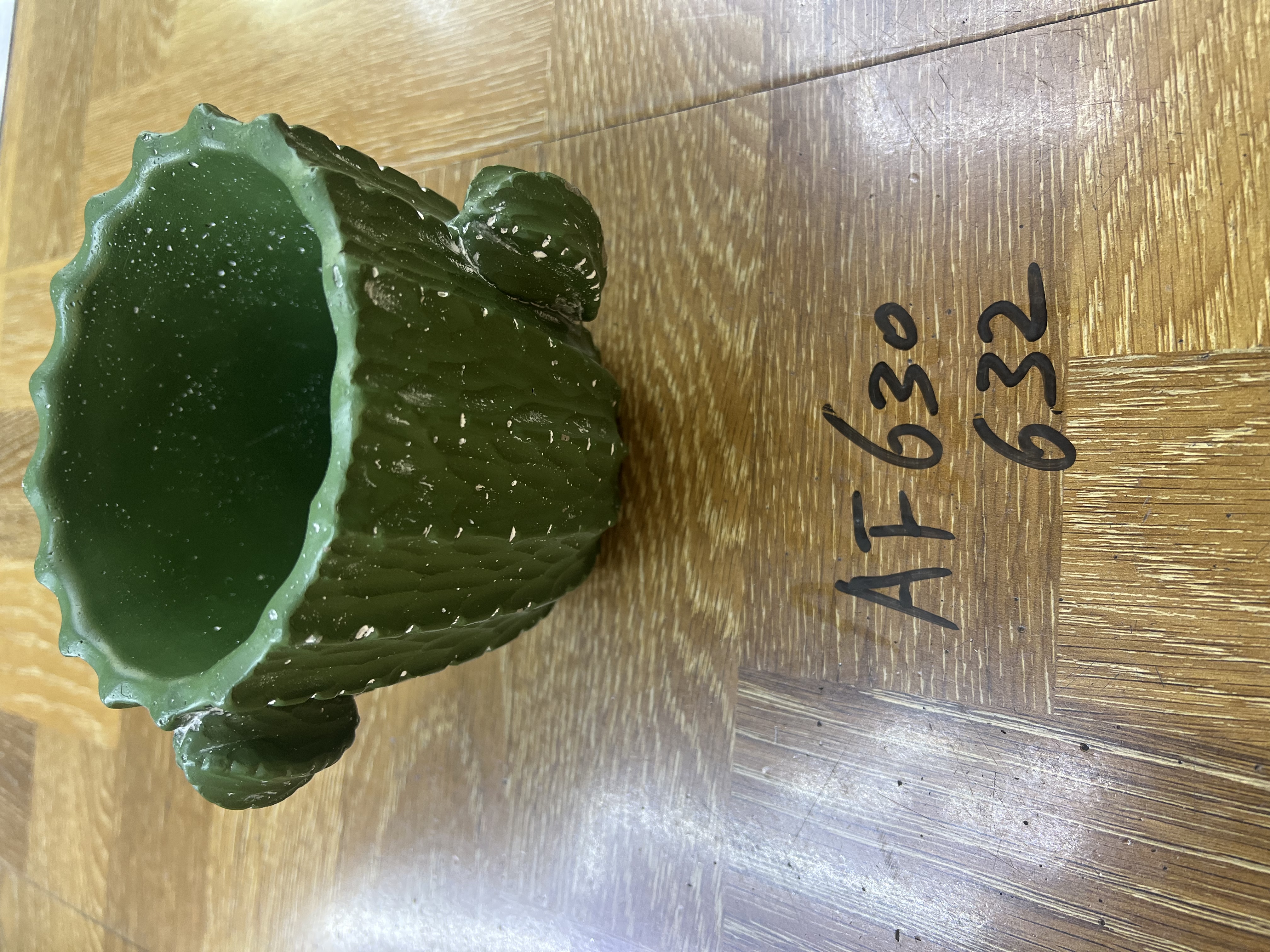 Fashionable cactus flowerpot