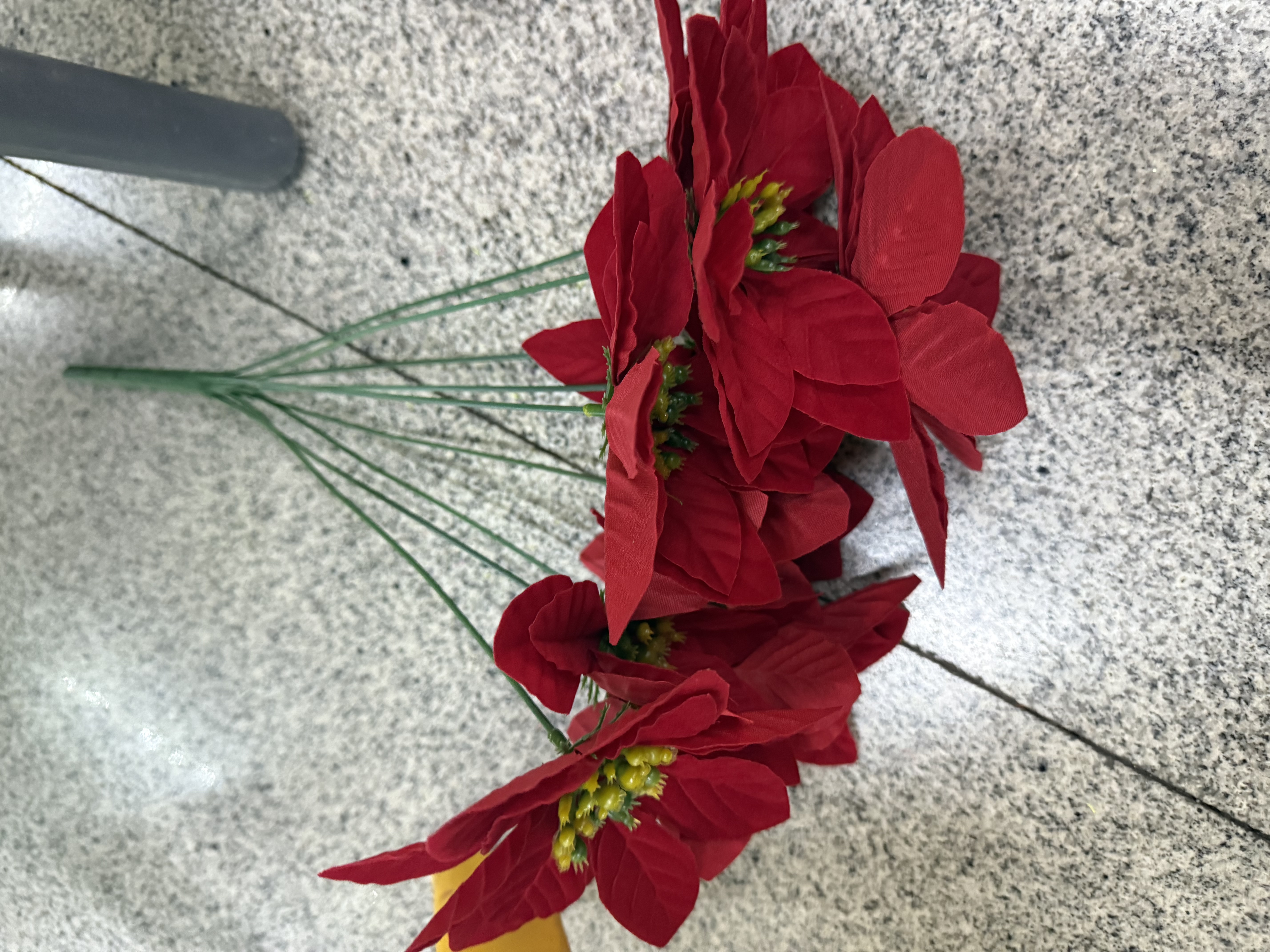 圣诞花