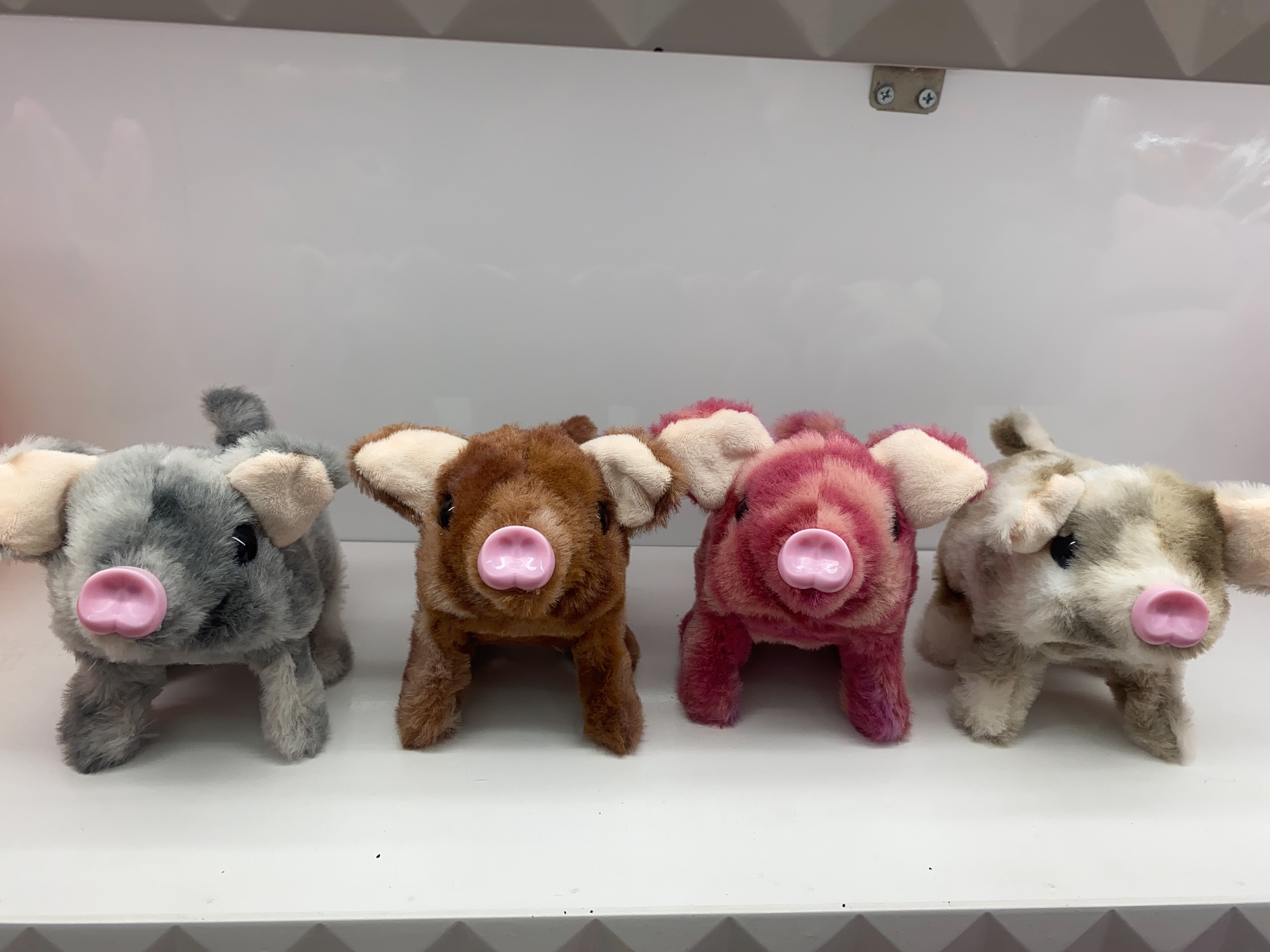 电动猪 有猪叫声