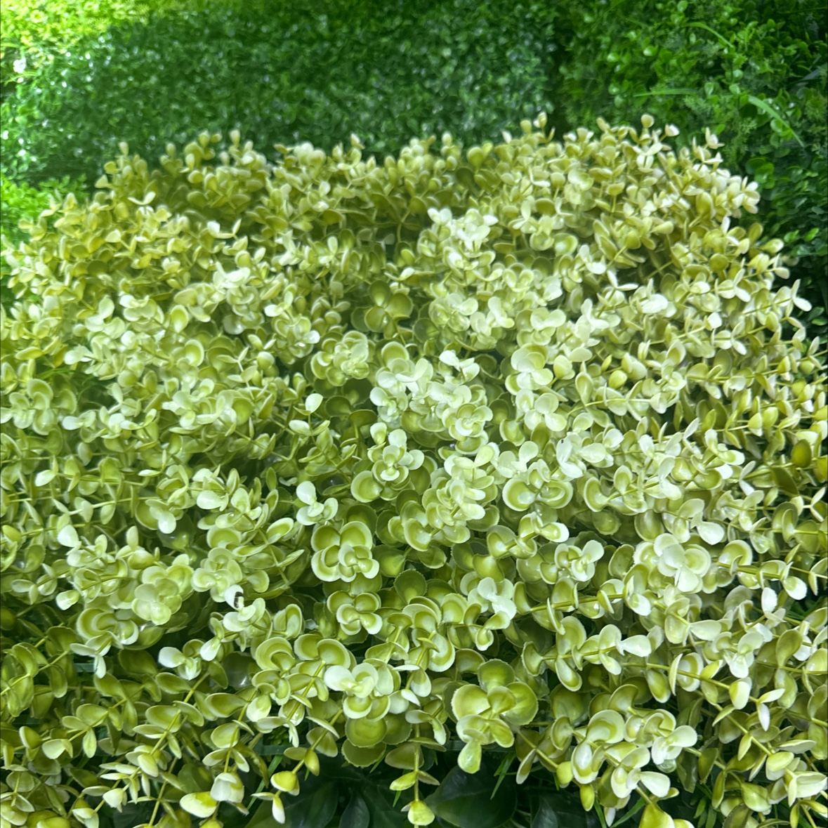 仿真草坪地毯人造绿色阳台装饰铺垫人工户外幼儿园塑料假草皮地垫