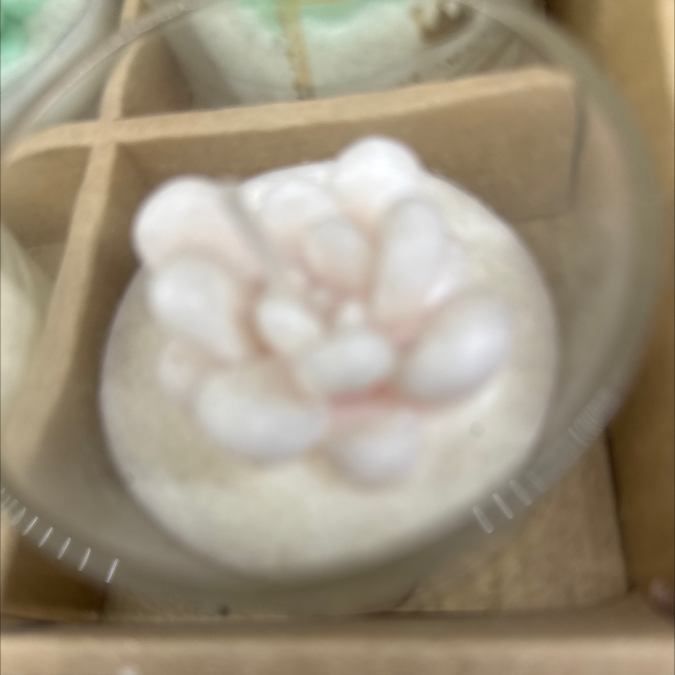 生日数字蜡烛金粉小蜡烛派对用品生日蜡烛180g