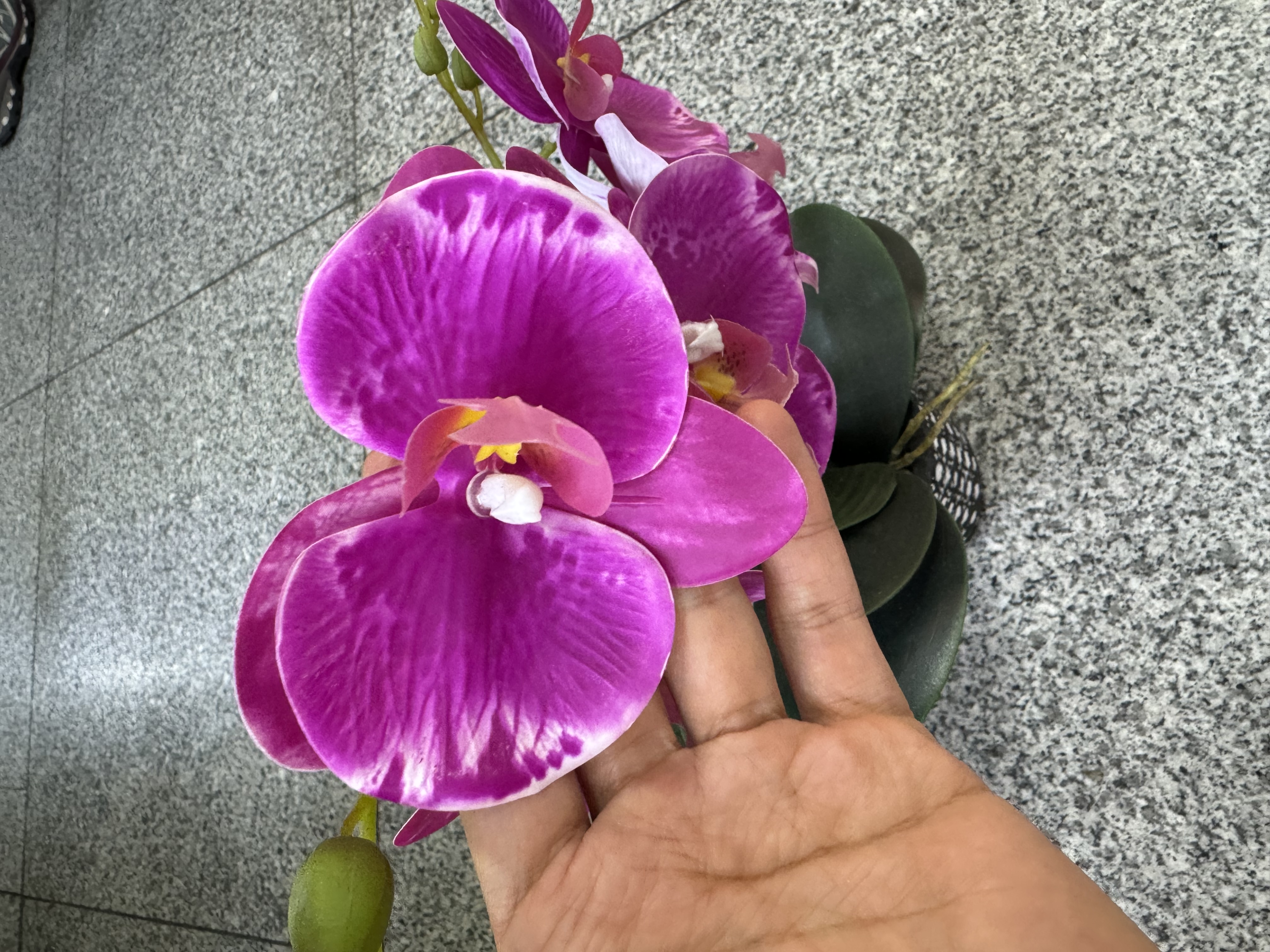 水泥蝴蝶兰摆件仿真花盆景