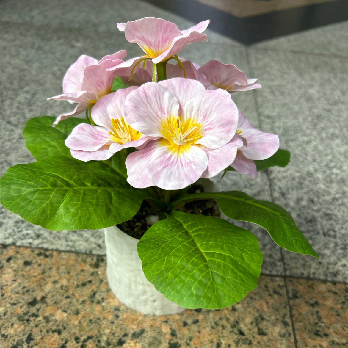 Office, home, living room, artificial bonsai, artificial flower potted plants