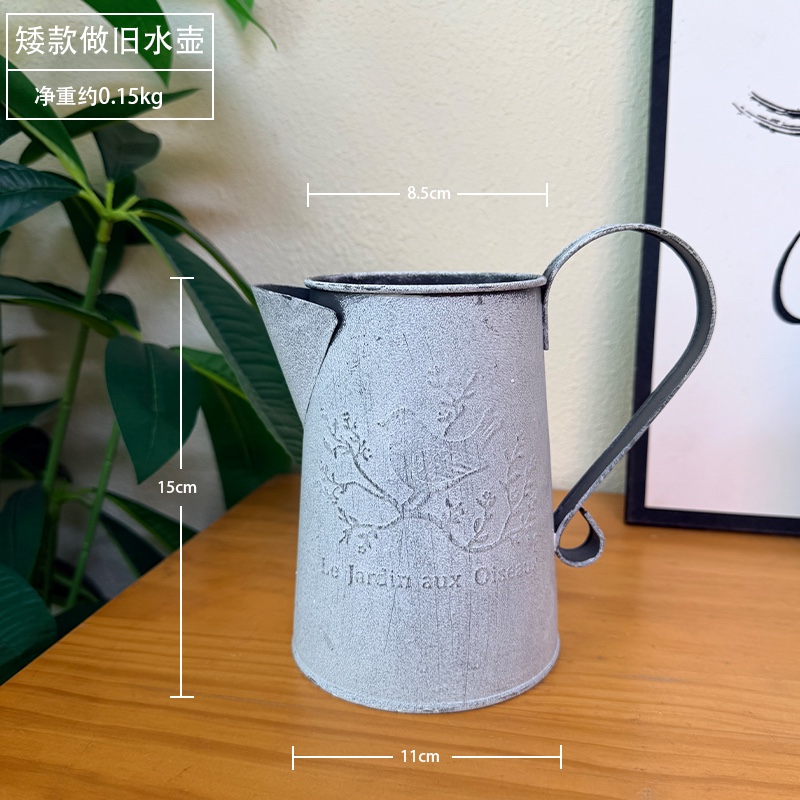 现货复古田园铁艺水壶摆件拍摄道具办公室个性简约花器花盆多肉假花浇水装饰详情图6