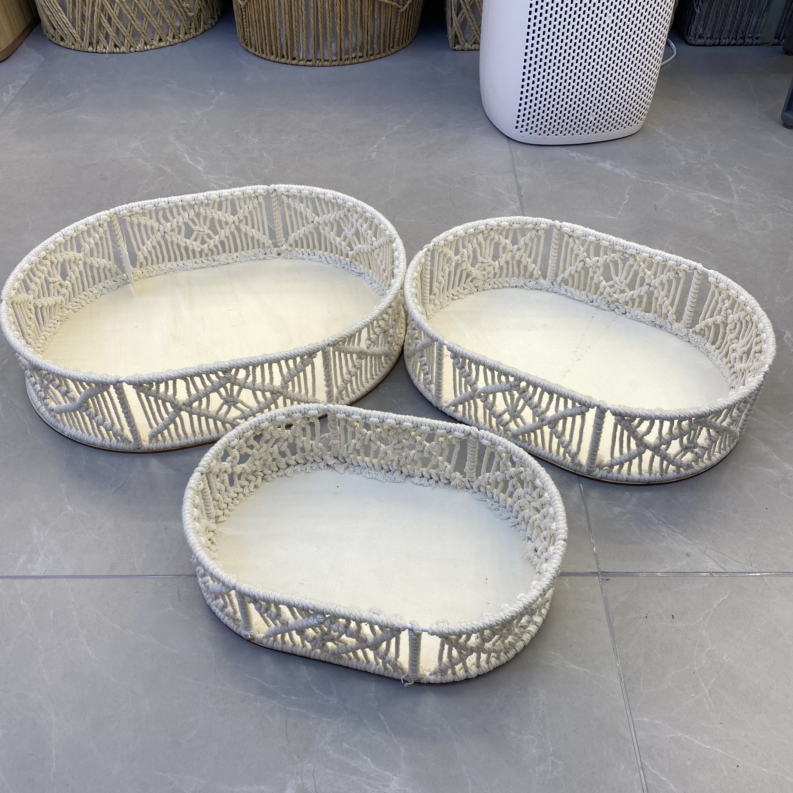 植物工艺品实物图