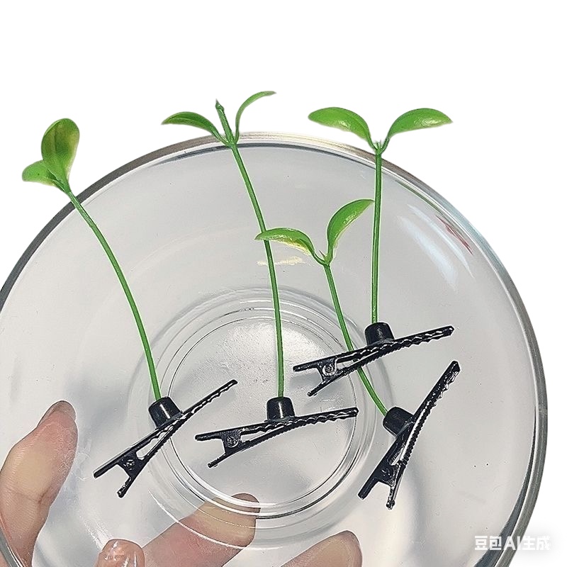 The cute and adorable girl with a grass hairpin has grass and bean sprouts growing on her head. The hairpin and hair accessory on her head are funny. Her voice is extremely popular