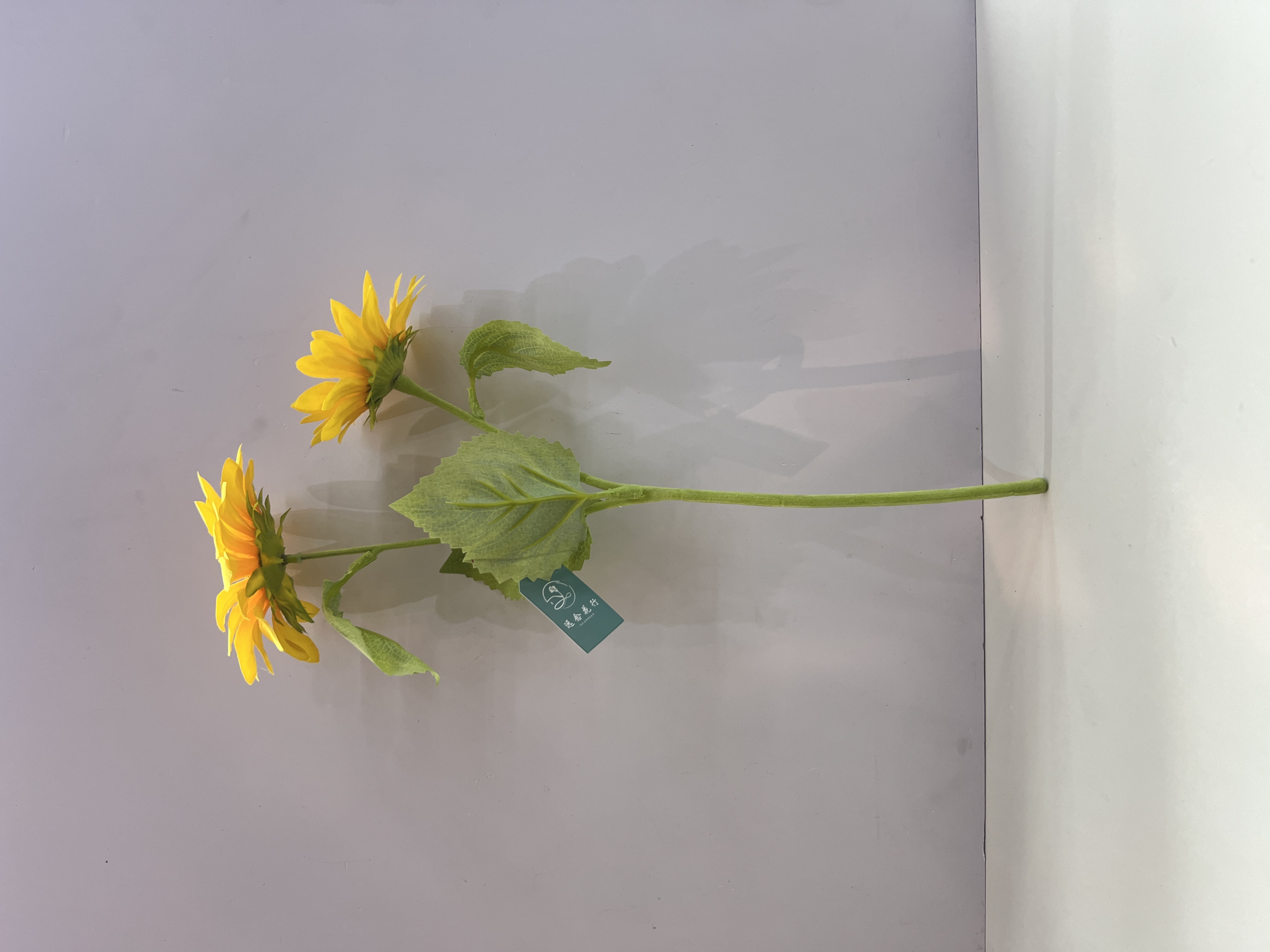仿真花瓣实物图