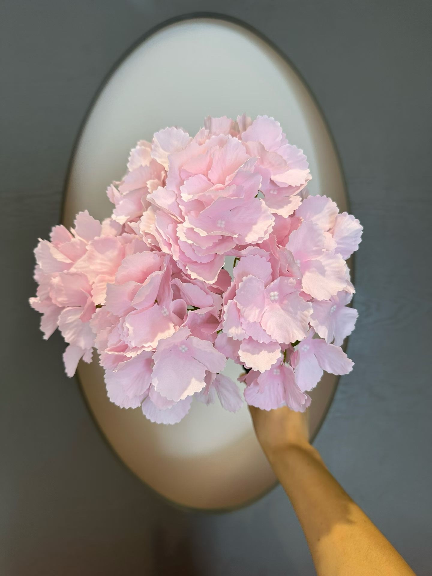 仿真花绣球白底实物图