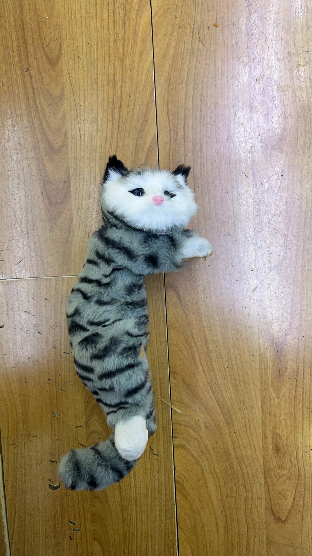 逗猫棒猫咪玩具宠物用品宠物猫猫逗乐玩具软毛逗猫棒逗猫棒猫咪玩具宠物用品宠物猫猫逗乐玩具软毛逗猫棒宠物用品宠物猫猫玩具逗猫