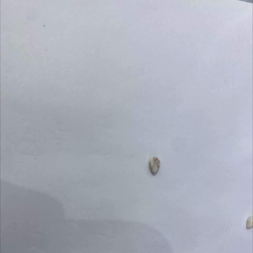 松石水滴3*5树脂产品图