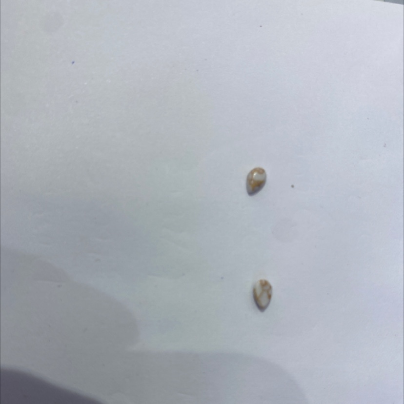 松石水滴3*5树脂细节图