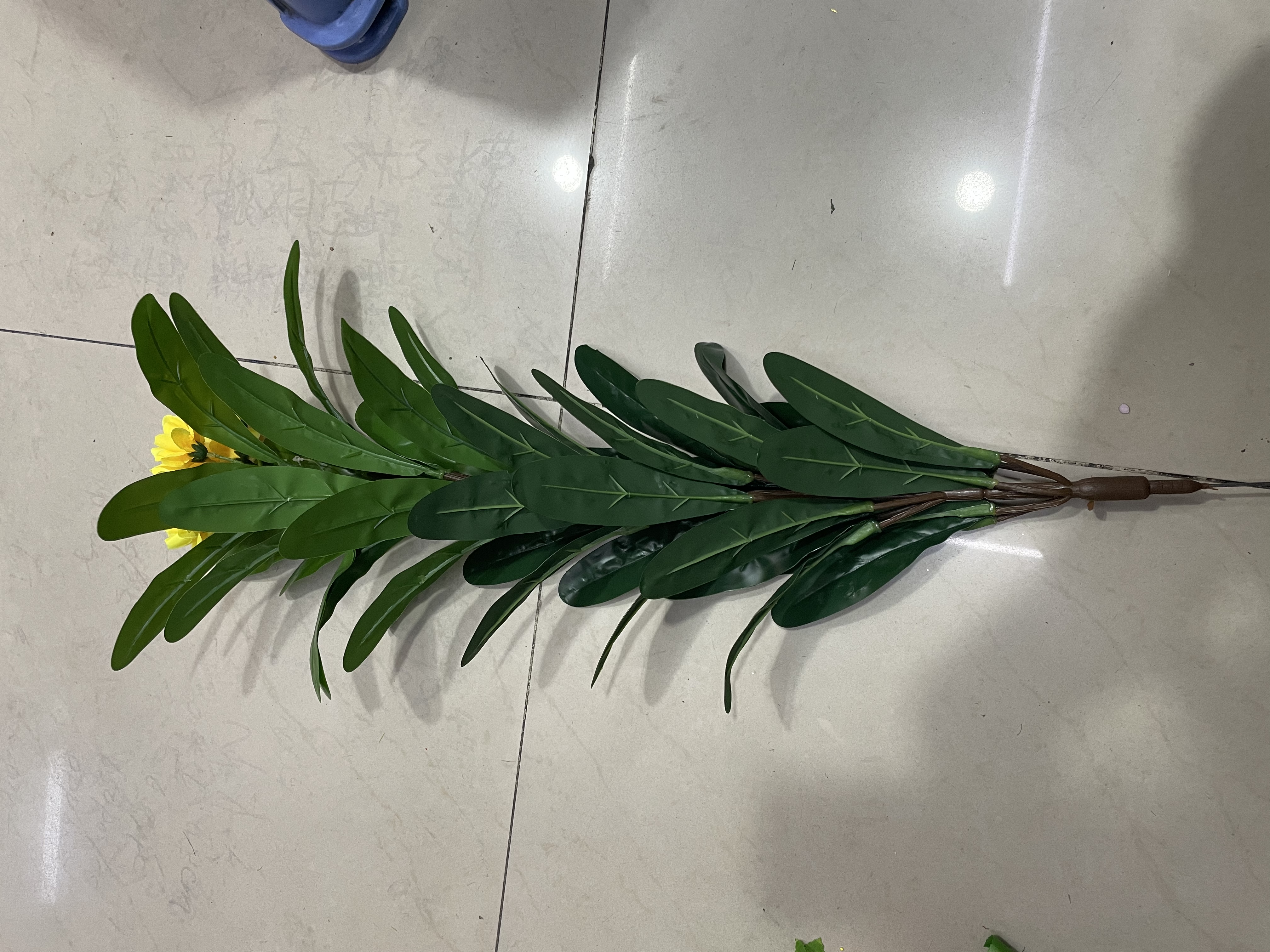 单枝玉兰清香持久花香清新详情图1