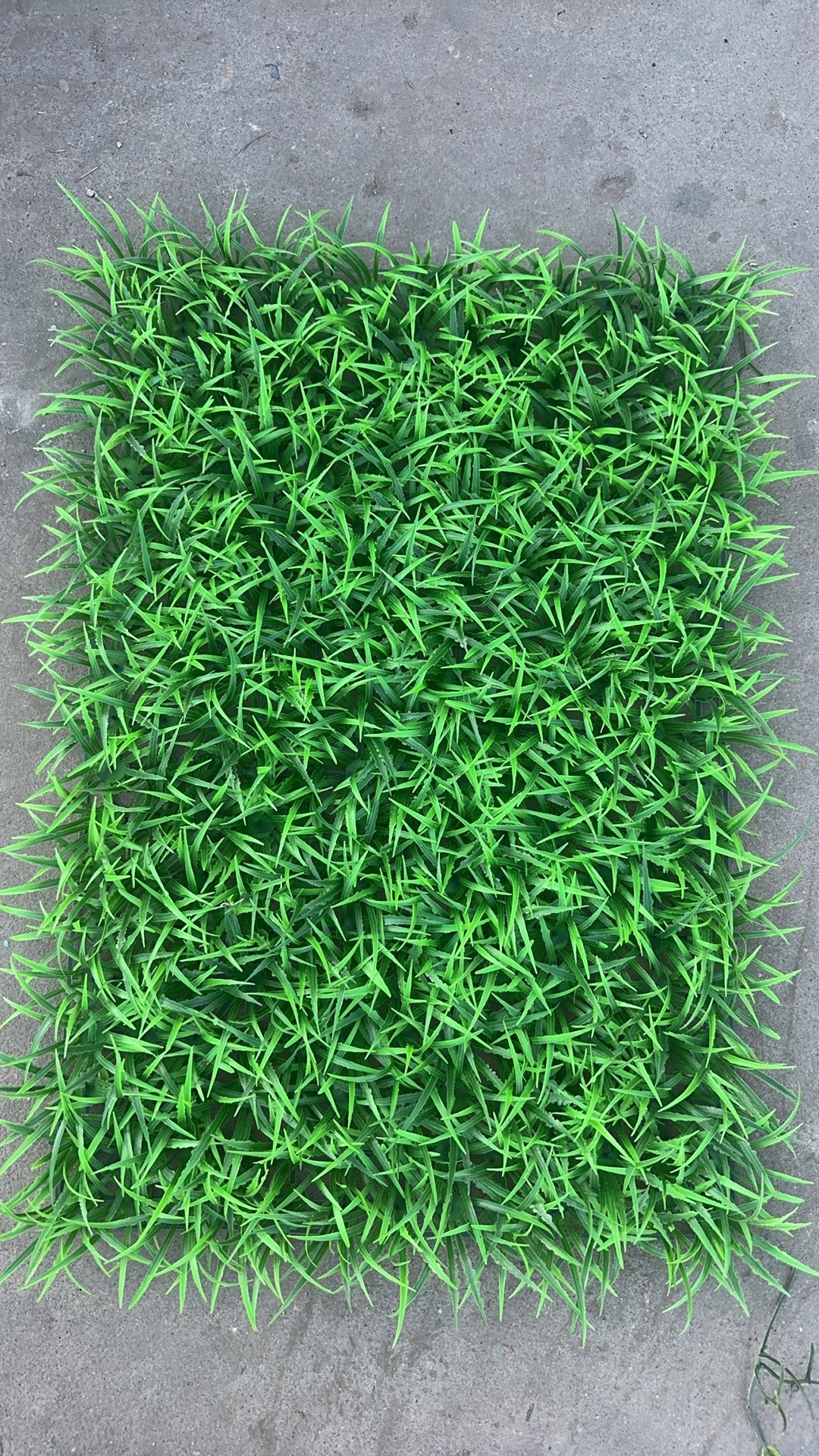 Artificial plants