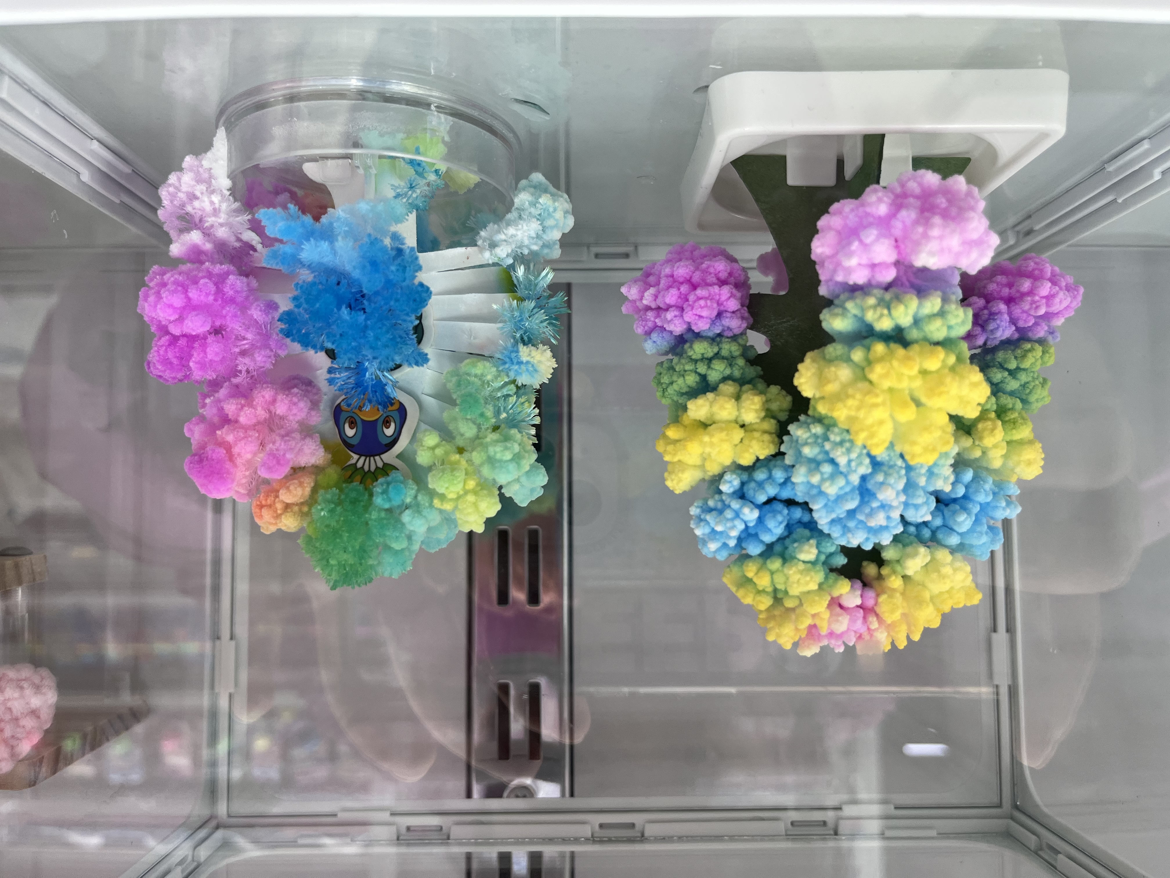 新品浇水开花树魔法生长结晶玩具