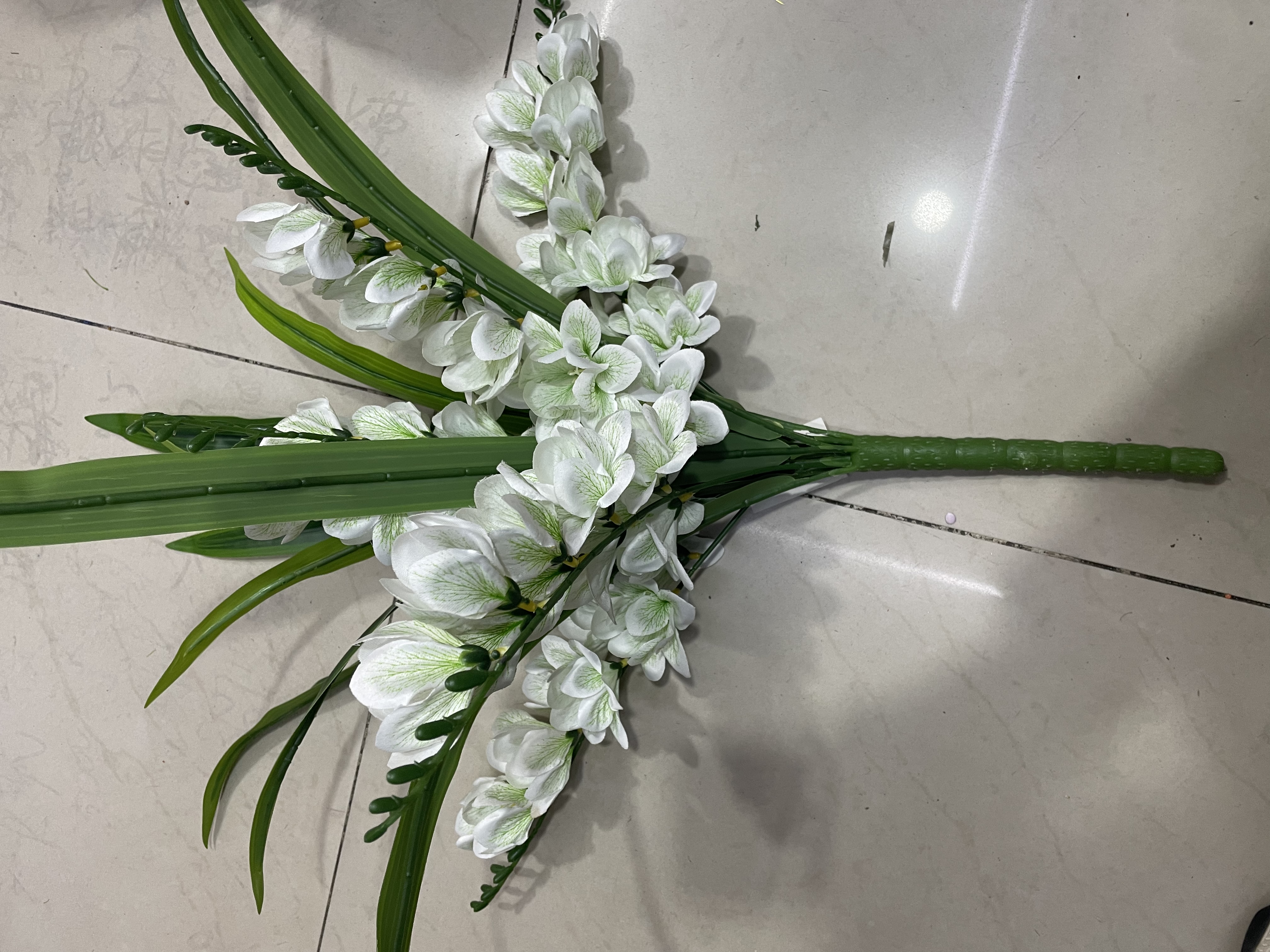 绿植盆栽室内观赏植物多肉小盆栽可爱迷你植物组合家庭园艺用品