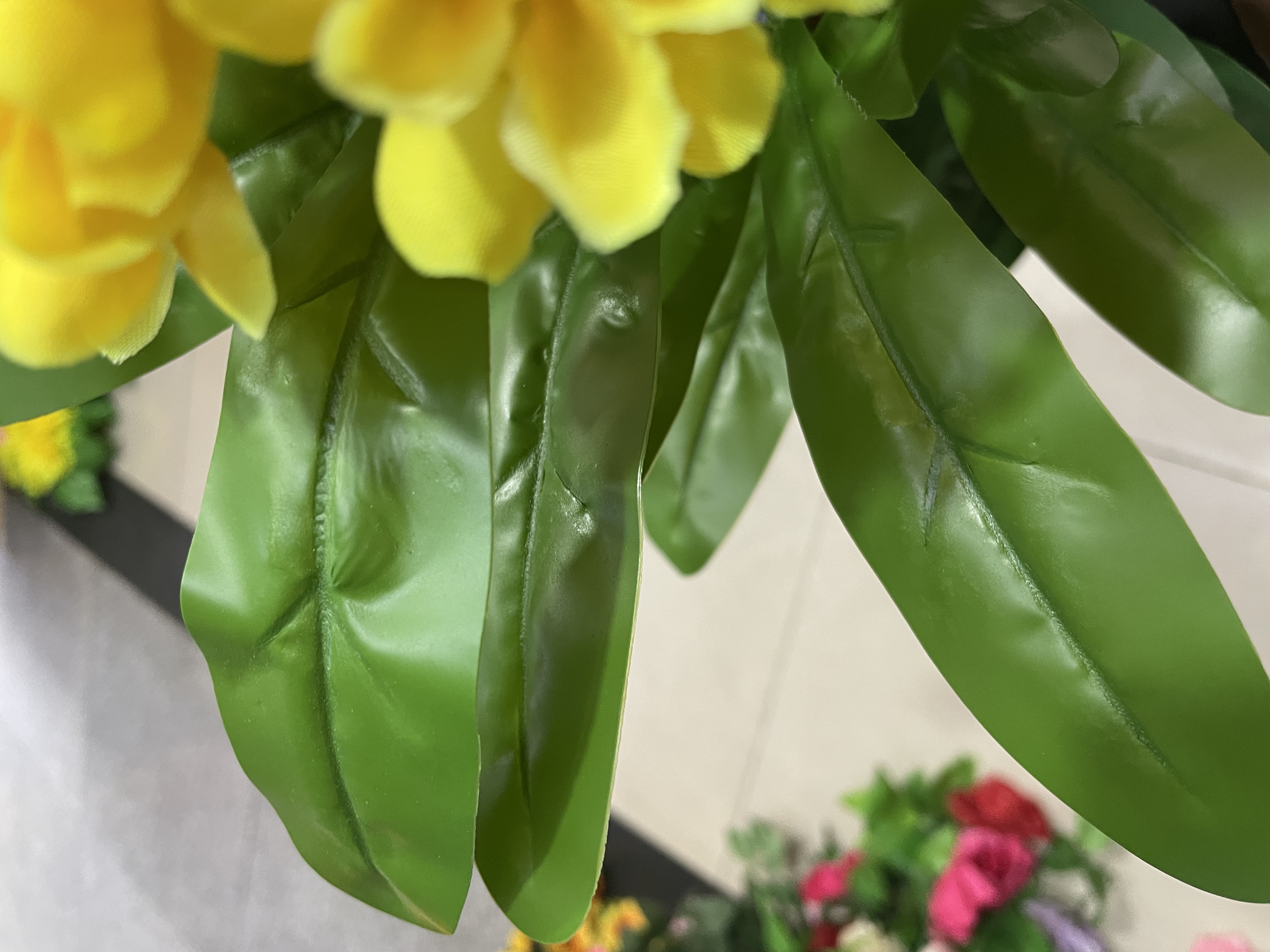 单枝玉兰清香持久花香清新详情图3