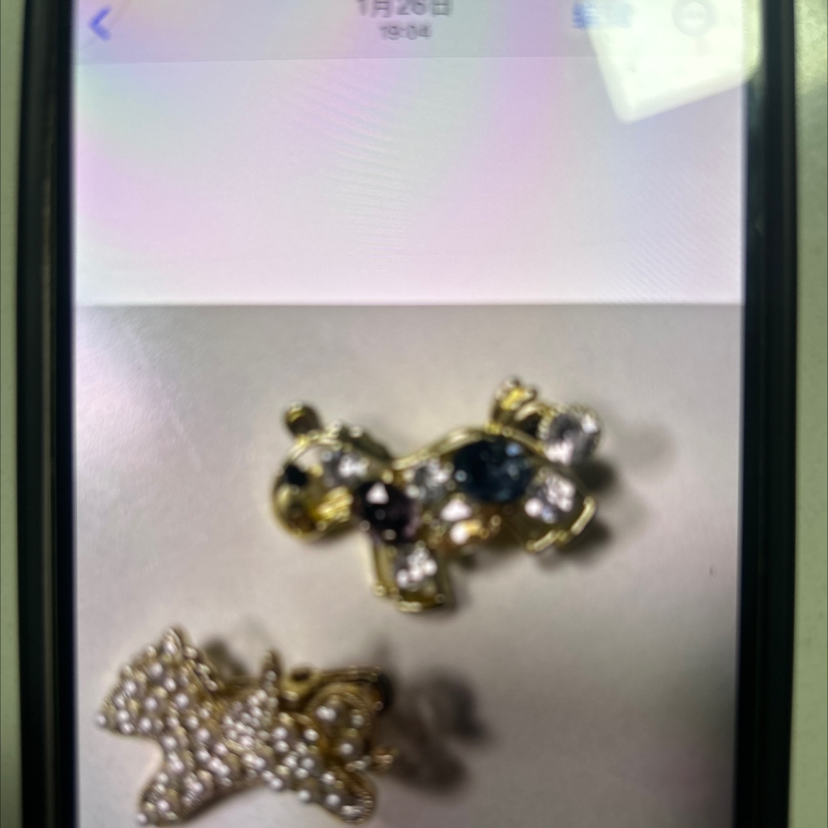 2026年最新款水晶鸭夹产品图