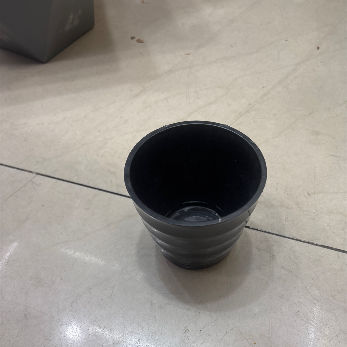 三丽鸥多肉绿植盆栽花卉绿植15cm小盆栽室内植物可爱萌宠植物绿植花卉绿植多肉绿植盆栽