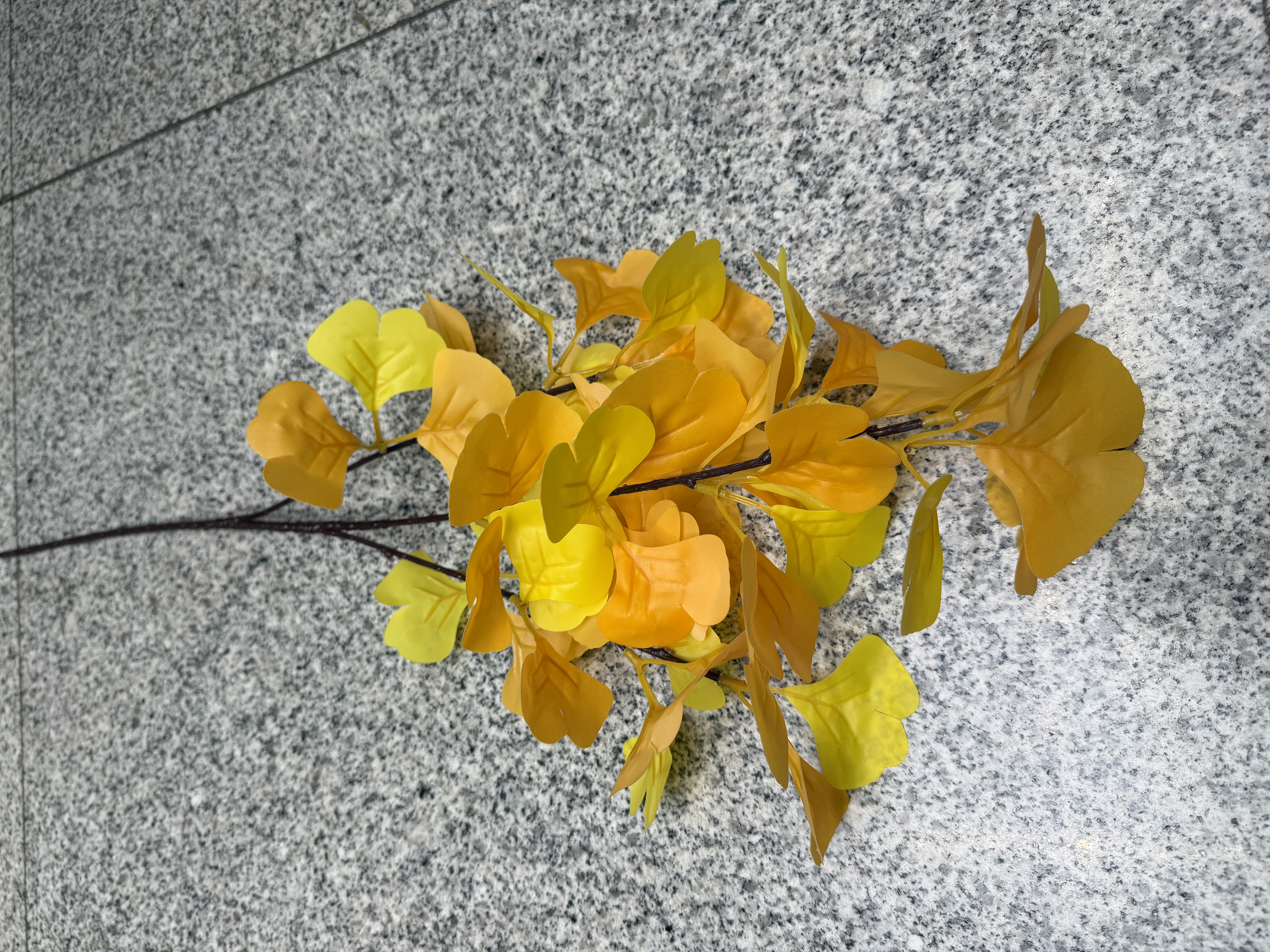 银杏叶仿真植物仿真植物仿真植物仿真植物仿真植物