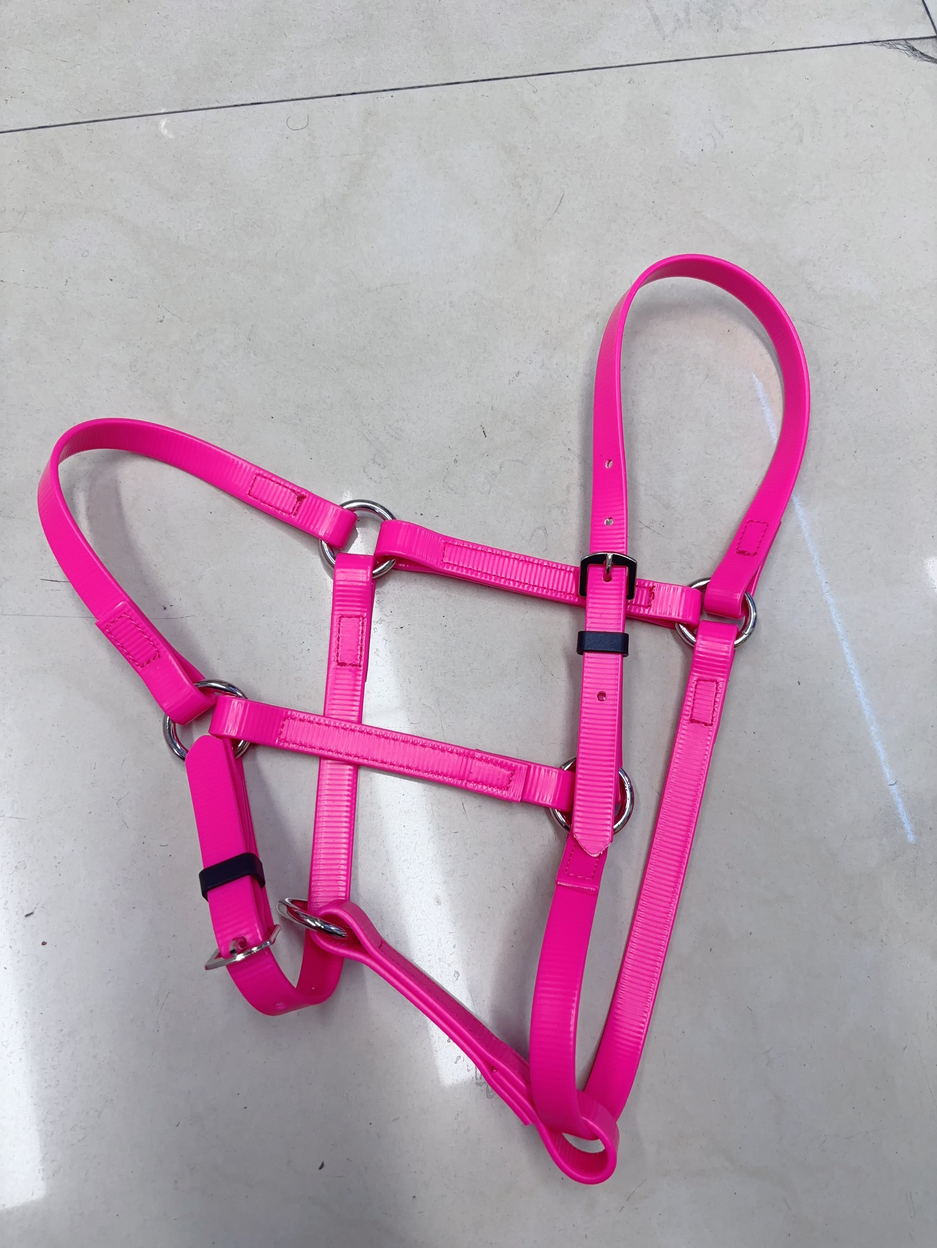 马具pvc笼头

牵马