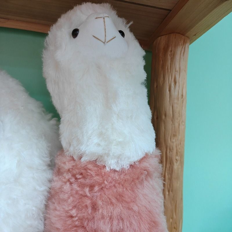 真羊皮羊毛玩偶 羊驼