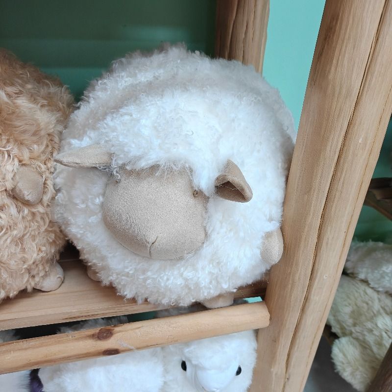 真羊毛玩偶 白肥羊羊