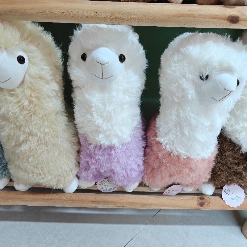 真羊皮羊毛玩偶 双色羊驼