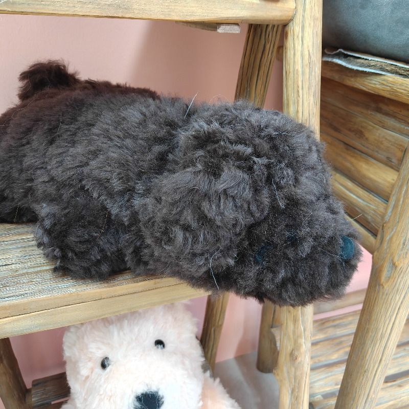 真羊皮羊毛玩偶 灰色趴趴熊