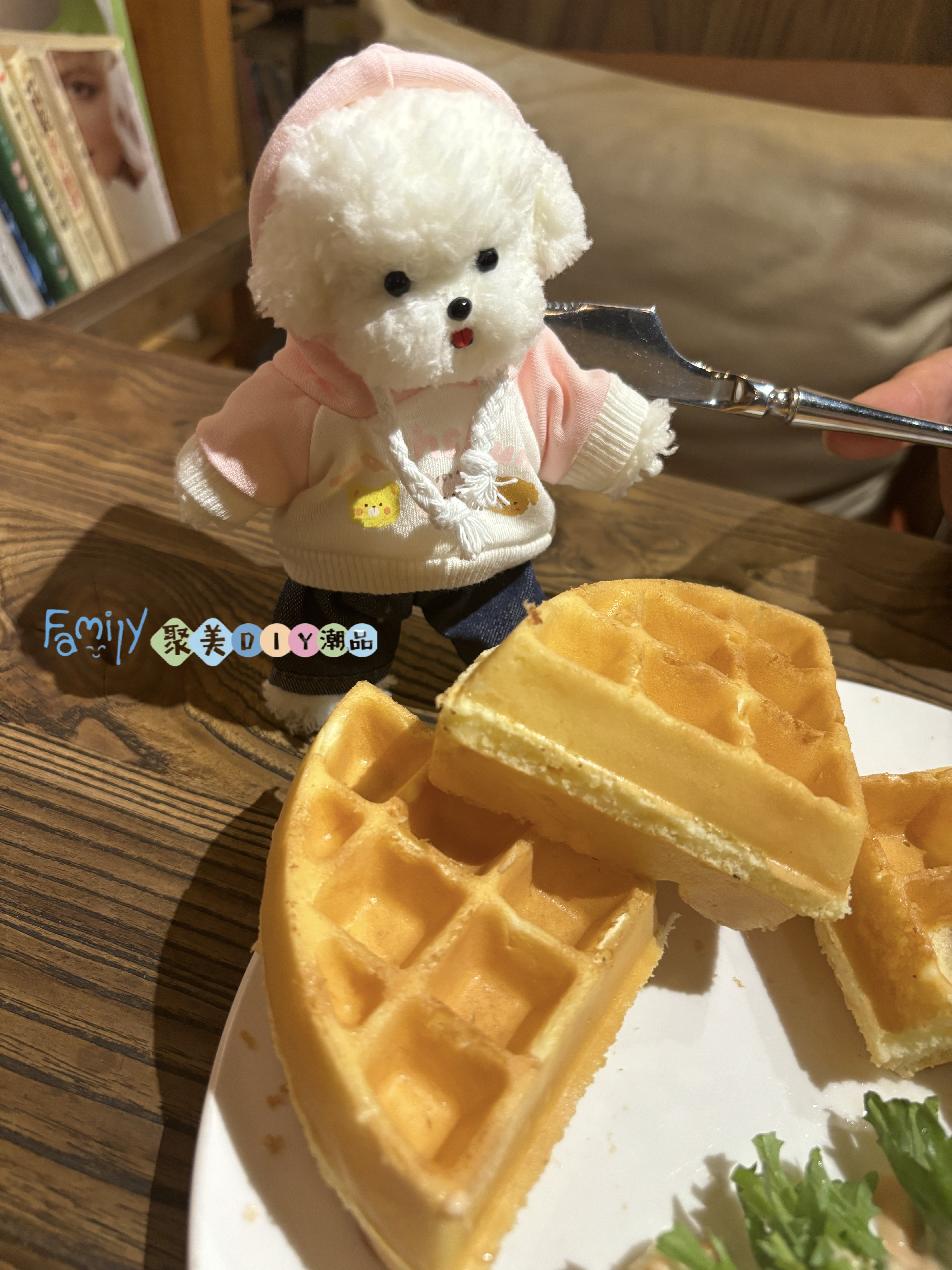 领养一只小狗白底实物图