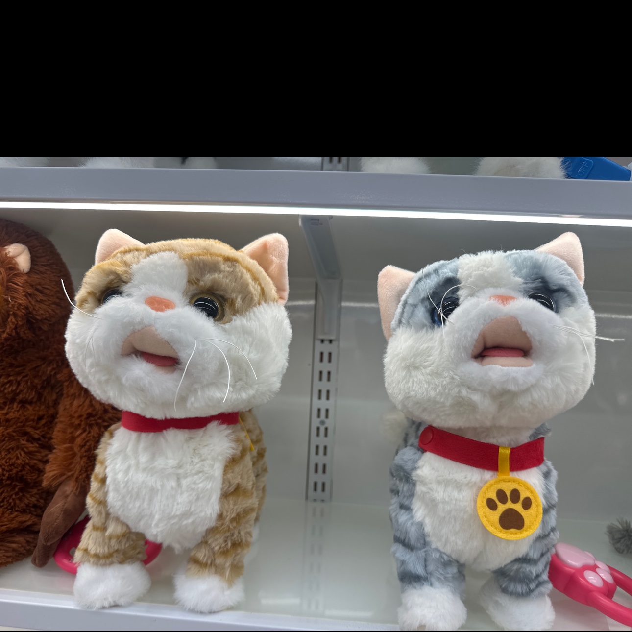 牵绳电动猫
