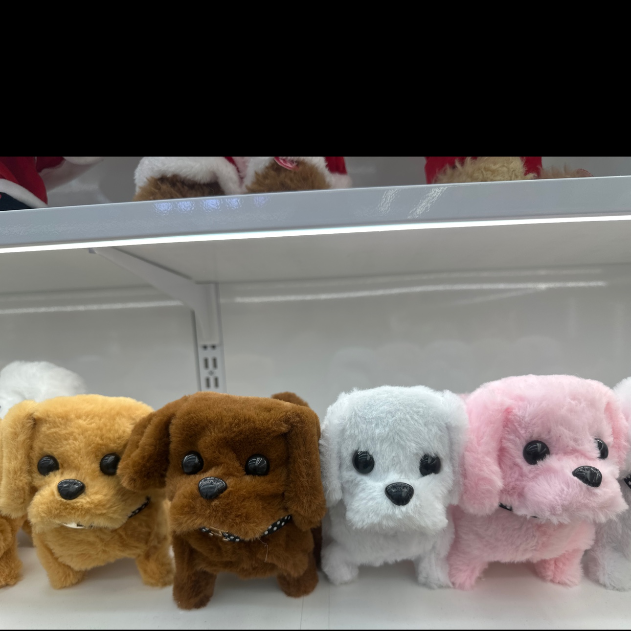 狗