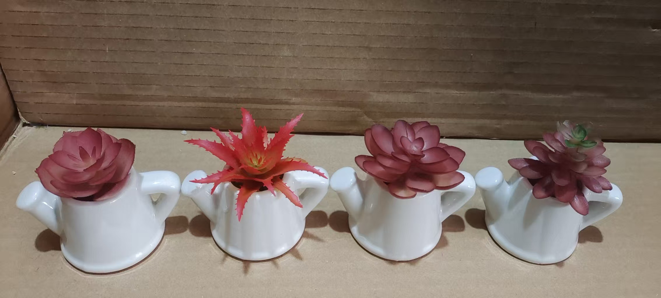 陶瓷多肉植物盆栽🪴 多肉植物陶瓷