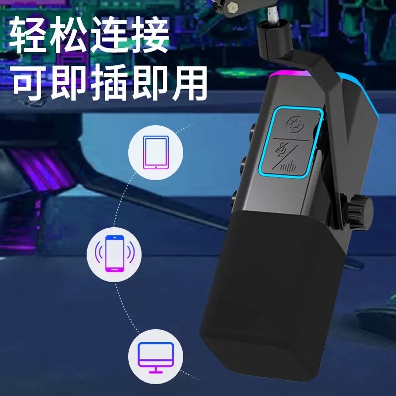 Le Xiangyu WM13 cantilever stand supercardioid pointing USB cross-border live streaming microphone RGB dynamic gaming microphone