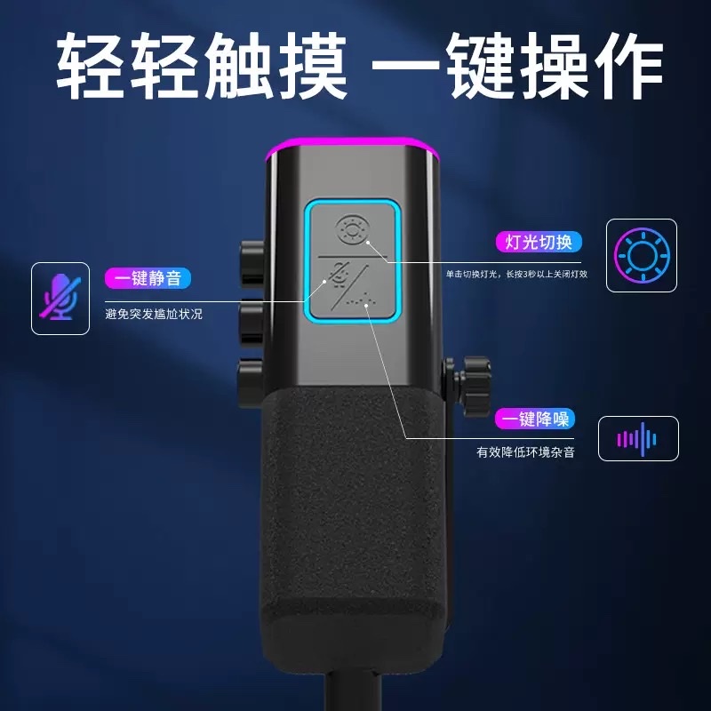 Le Xiangyu WM13 cantilever stand supercardioid pointing USB cross-border live streaming microphone RGB dynamic gaming microphone details Picture