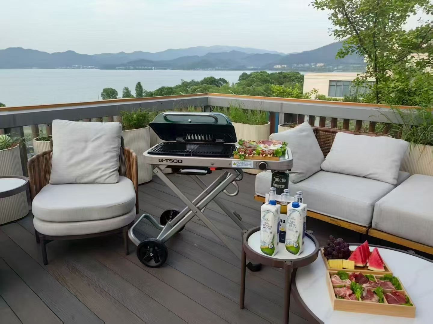 Outdoor gas barbecue grill, household courtyard villa portable barbecue rack detail image 3