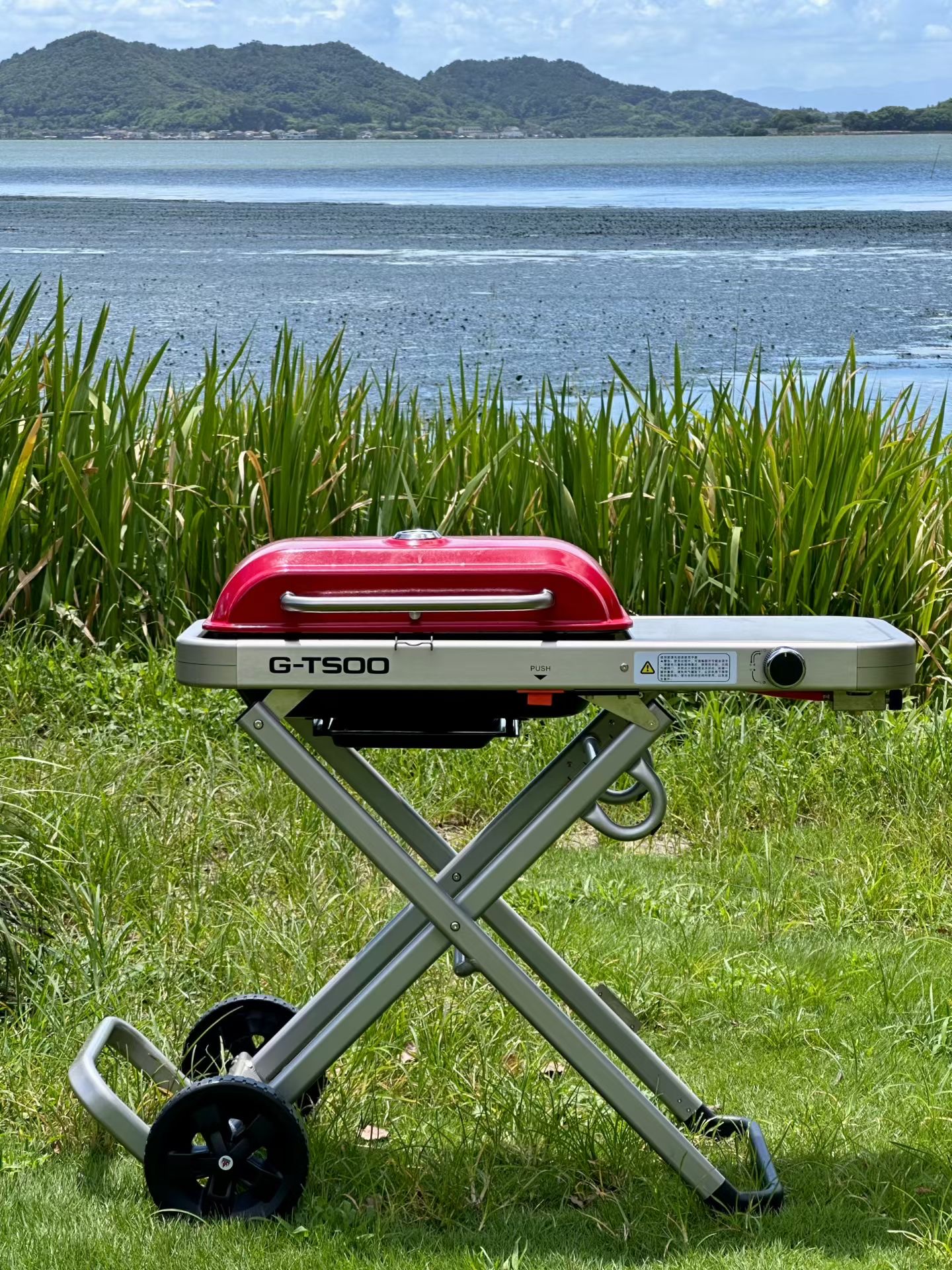 Outdoor gas barbecue grill, household courtyard villa portable barbecue rack Specification image