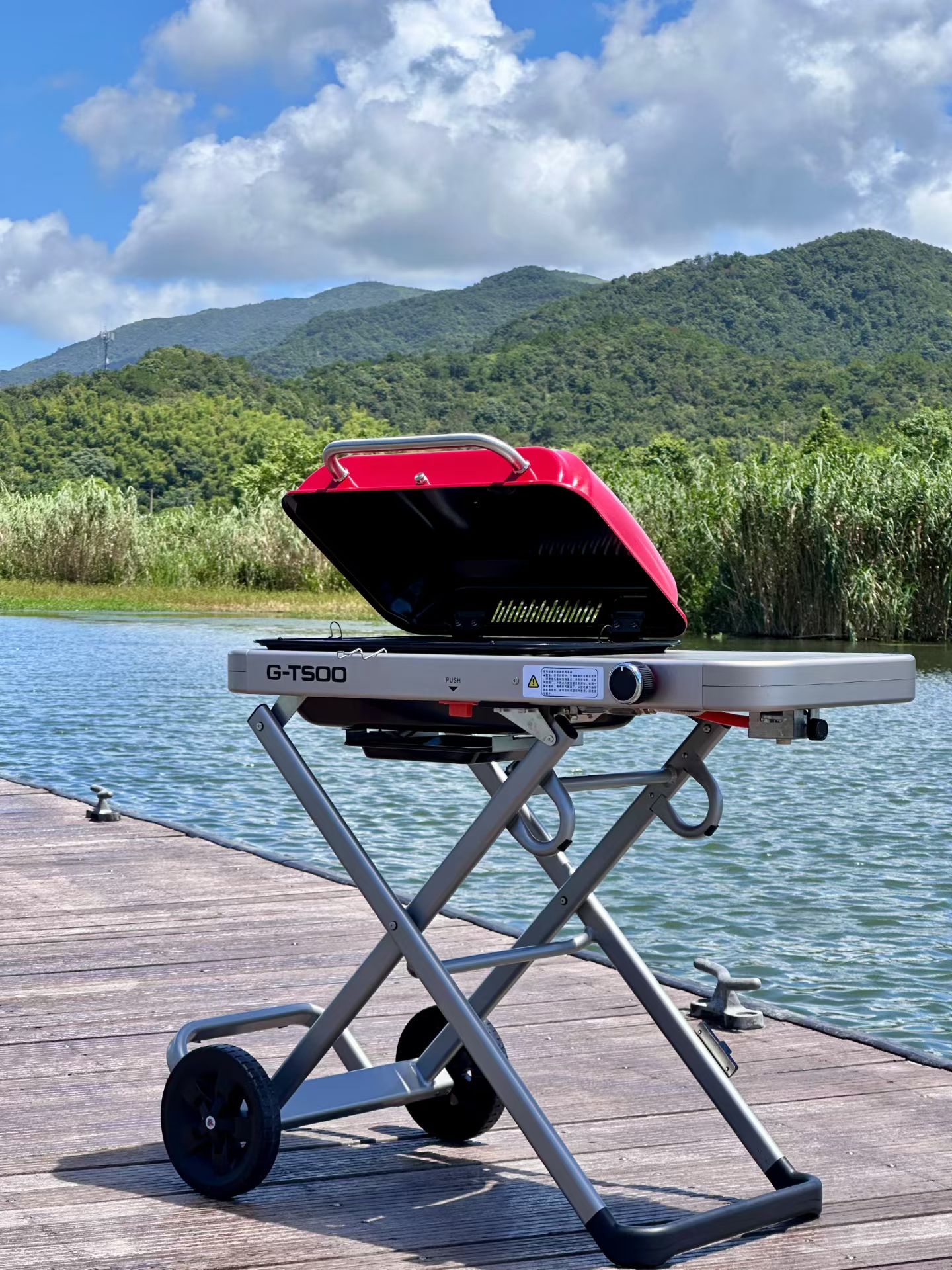 Outdoor gas barbecue grill, household courtyard villa portable barbecue rack details Picture