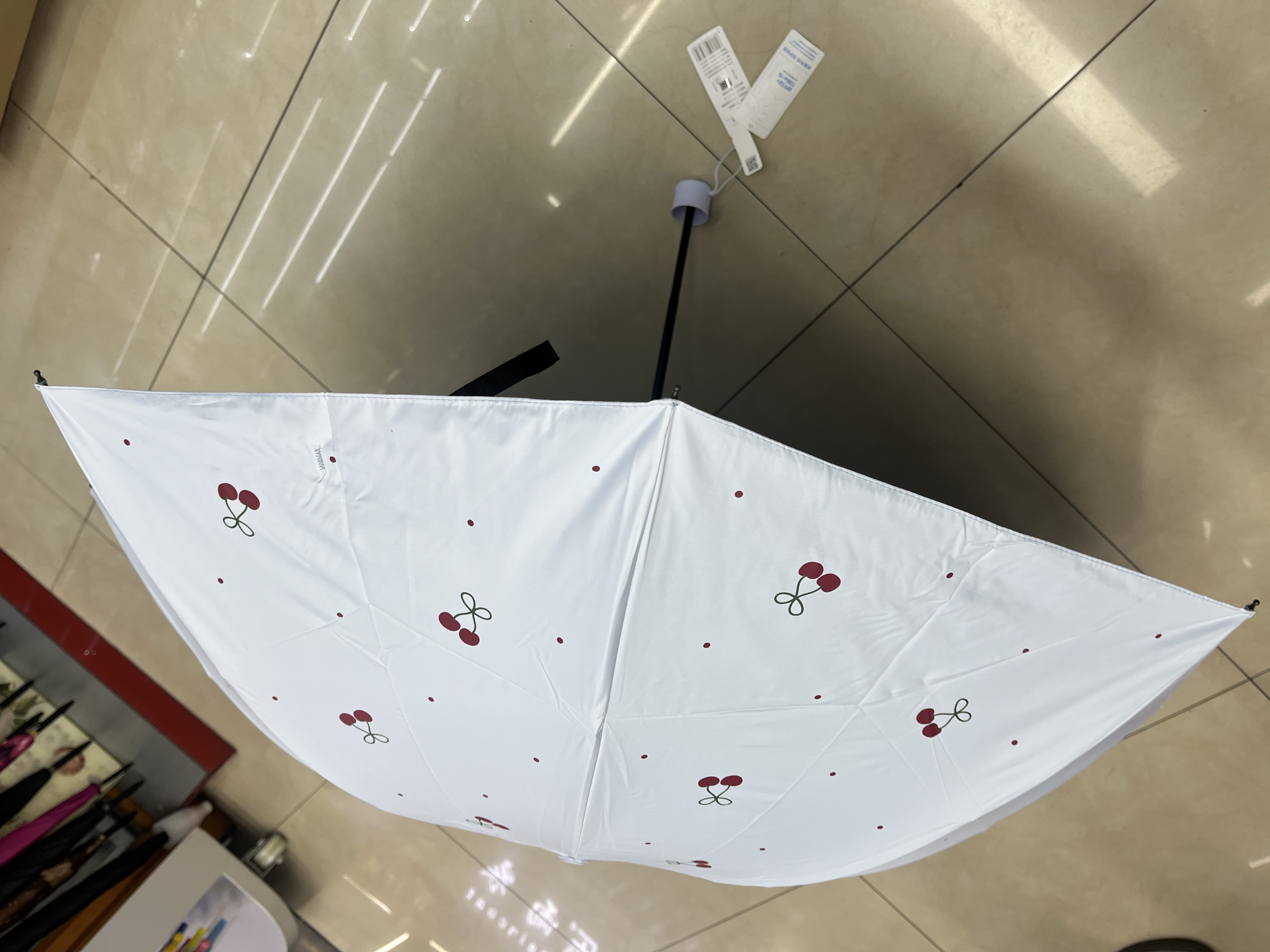 雨伞实物图