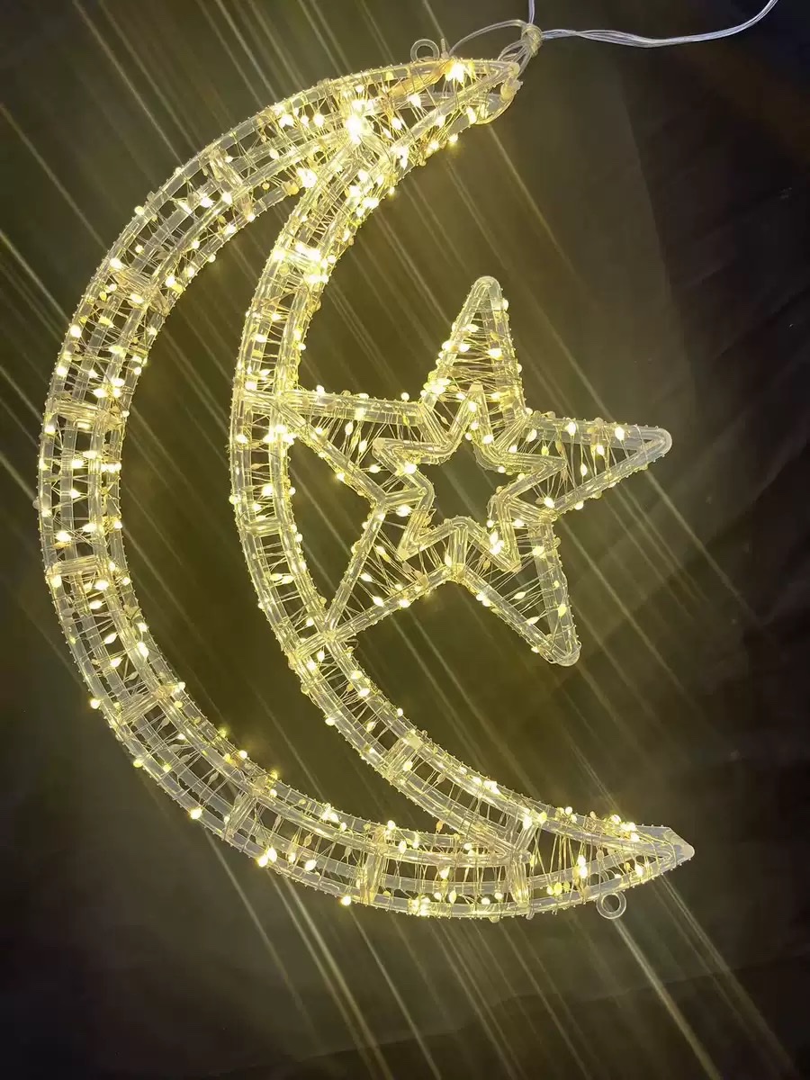 Cross-border new led copper wire lights, outdoor Christmas decorative lights, string light strips, shopping mall atmosphere lights, Christmas trees detail image 7