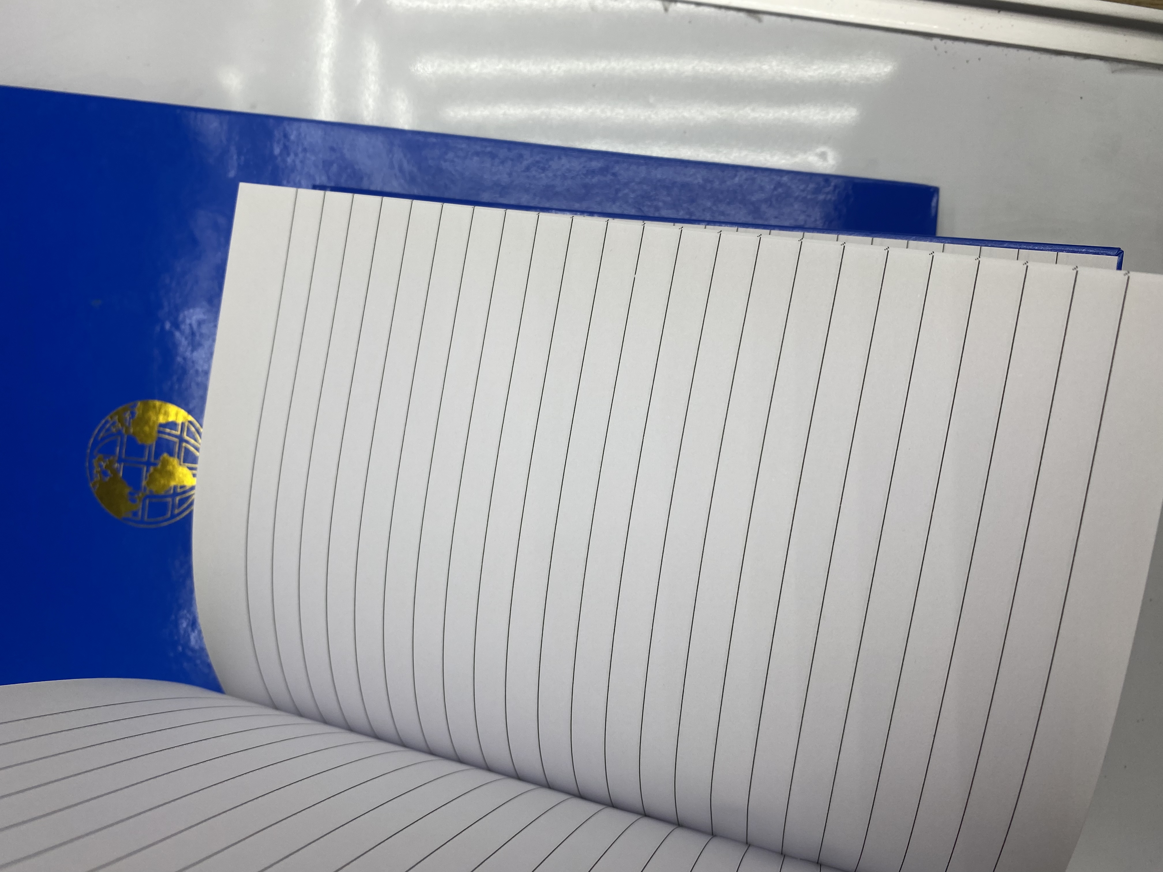 دفاتر الأعمال التجارية الخارجية الخاصة A4 (A4) A5 (A5) Item Picture