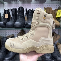 Factory Wholesale Military Tactical Boots, Special Force Desert Combat Boots, Outdoor Hunting Hiking Shoes, армейские ботинки, botas de combate tácticas, Multi-color Available Men Work Boots