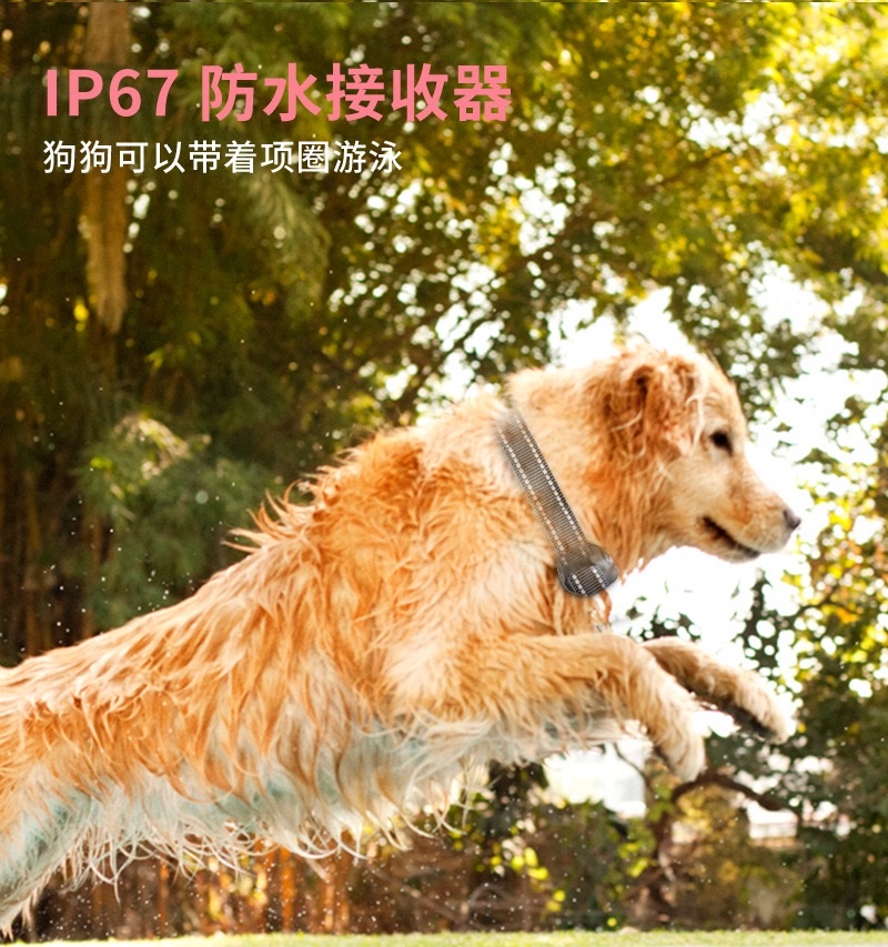 2026 Remote-controlled Pet Trainer detail image 6