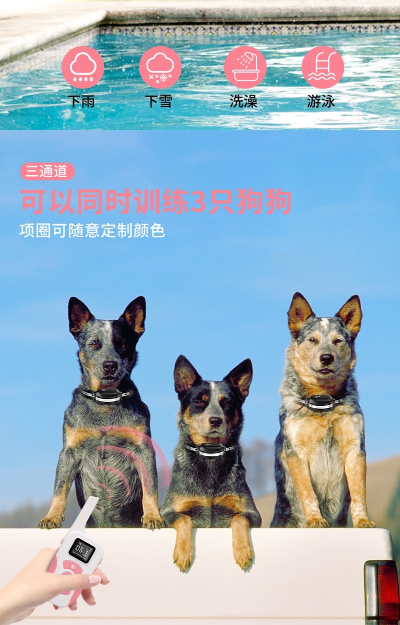 2026 Remote-controlled Pet Trainer detail image 8
