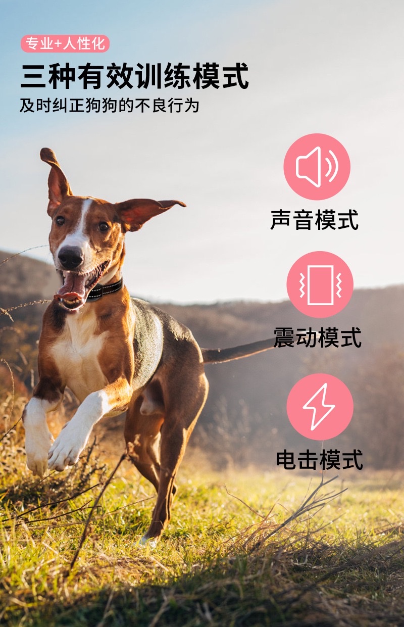 2026 Remote-controlled Pet Trainer detail image 7