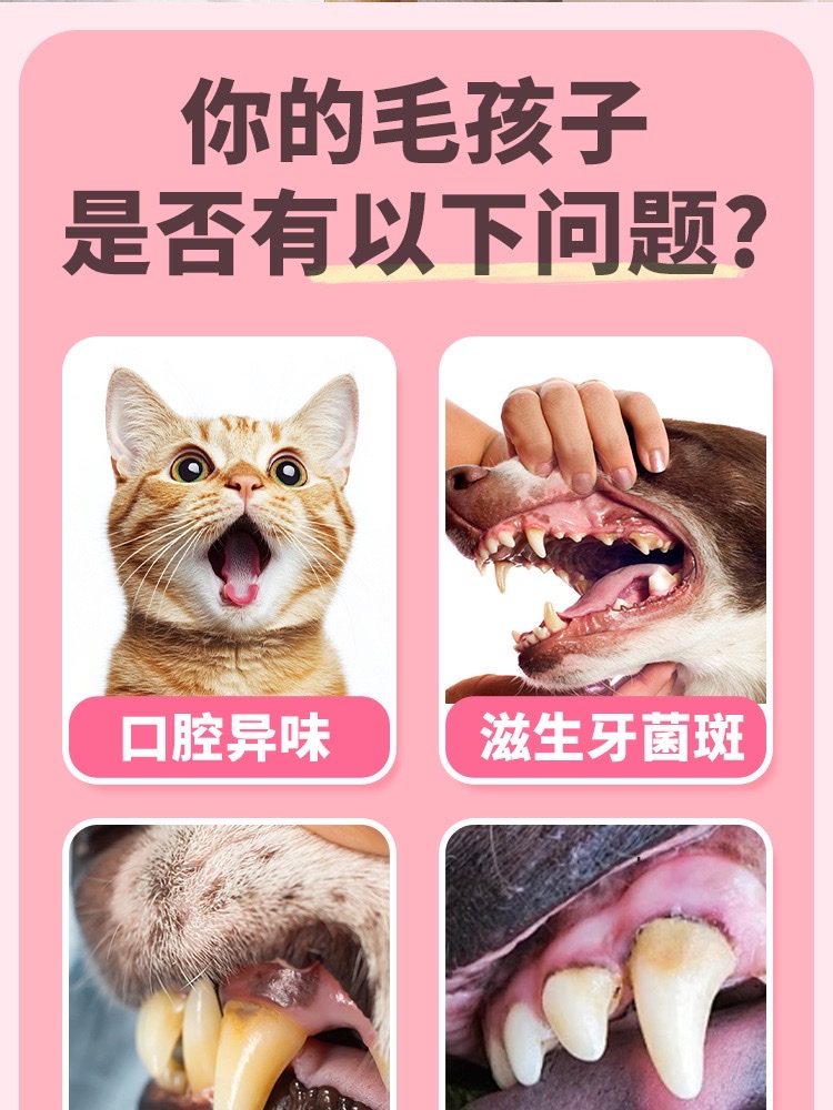Pet oral hygiene spray for cats and dogs to remove tartar and teeth cleaning water dissolves effectively and eliminates bad breath detail image 3