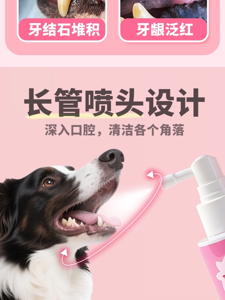 Pet oral hygiene spray for cats and dogs to remove tartar and teeth cleaning water dissolves effectively and eliminates bad breath detail image 8
