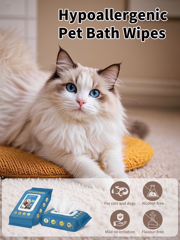 Pet factory cleaning supplies: Pet hand sanitizers, wet wipes, disposable antibacterial and disinfectant wet wipes for cats and dogs detail image 6